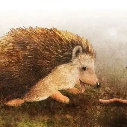 e1f742dff810d92d2c940b666f6d5809bfb070fa951f7-SjLvG6_fw658.jpg 图片