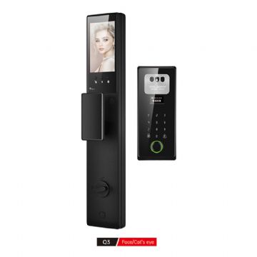 Q3 Face/Cat's eyeQ3 Face/Cat's eye