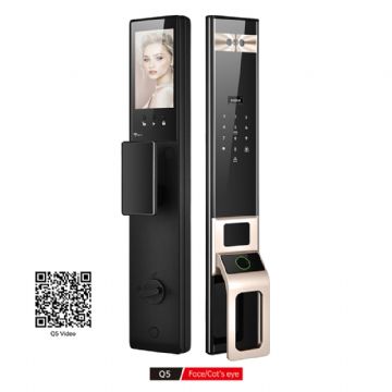 Q5 Face/Cat's eyeQ5 Face/Cat's eye